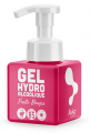 Gel hydroalcoolique 500 ml + pompe  24157